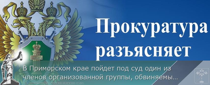 В Приморском крае пойдет под суд один из членов организованной группы, обвиняемый в контрабанде древесины в КНР на общую сумму более 167 млн рублей